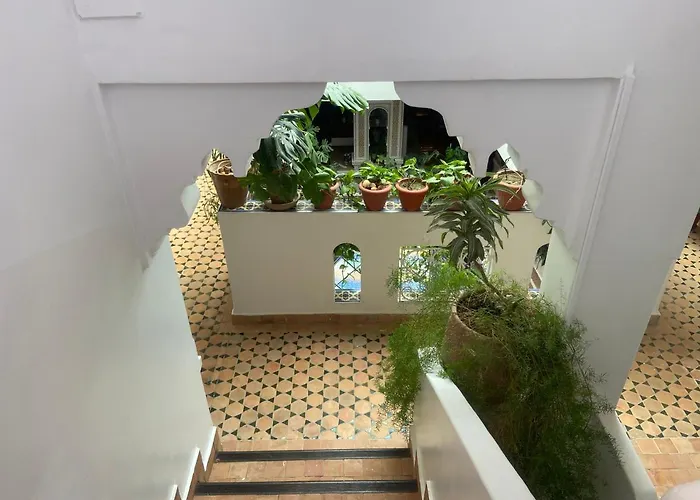 Riad Salt River